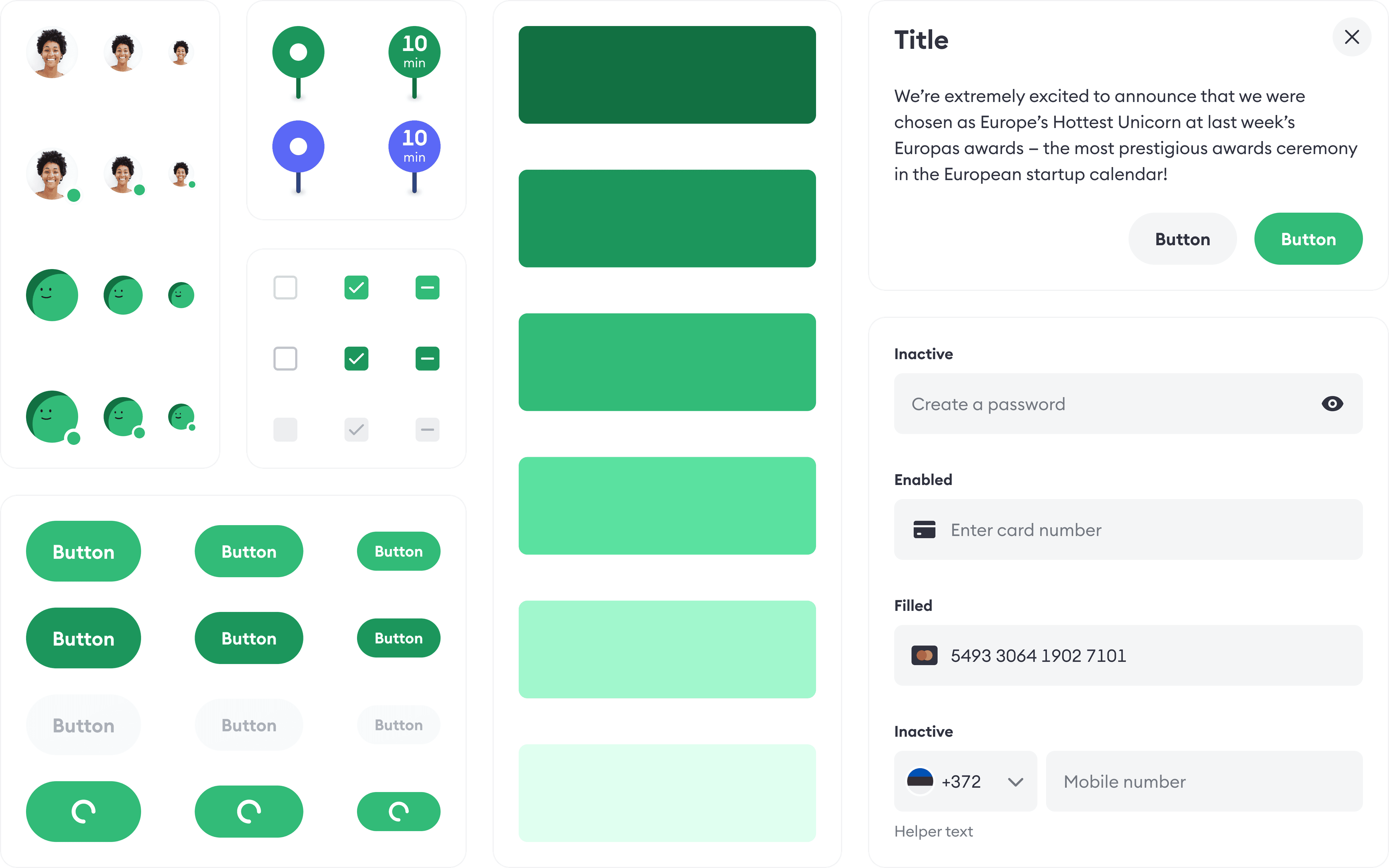 Building the web design system